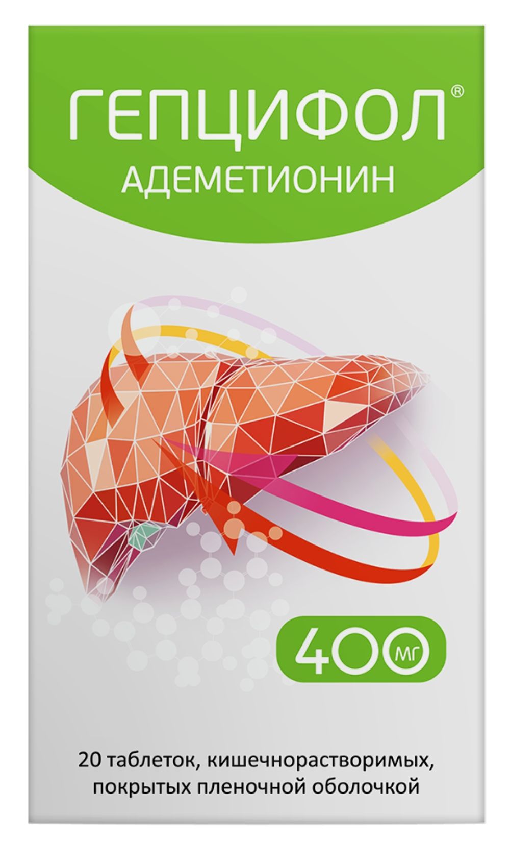 фото упаковки Гепцифол, 400 мг, таблетки, покрытые кишечнорастворимой оболочкой, 20 шт. фото упаковки Гепцифол
